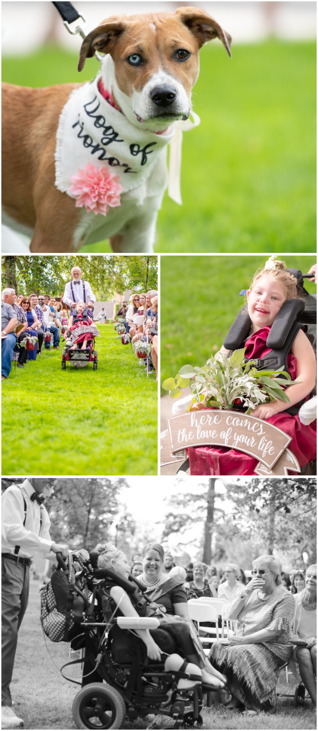 Summer Wedding in Greeley at Glenmere Park and The Armory | Britni Girard Photography - Wedding Photographer - Bride and Groom Classic Car