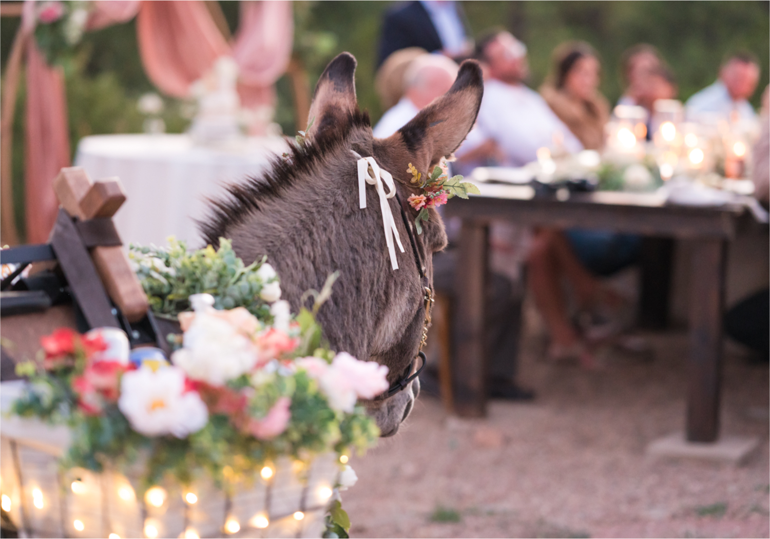 Autumn mountain wedding in Florence Colorado | Britni Girard Photography | Colorado Wedding Photo and Video Team | Mountainside Cabin for intimate wedding with rustic farm-tables and romantic details | Sunset Toast with food by The Picnic Basket | Rocky Mountain Beverage Burro